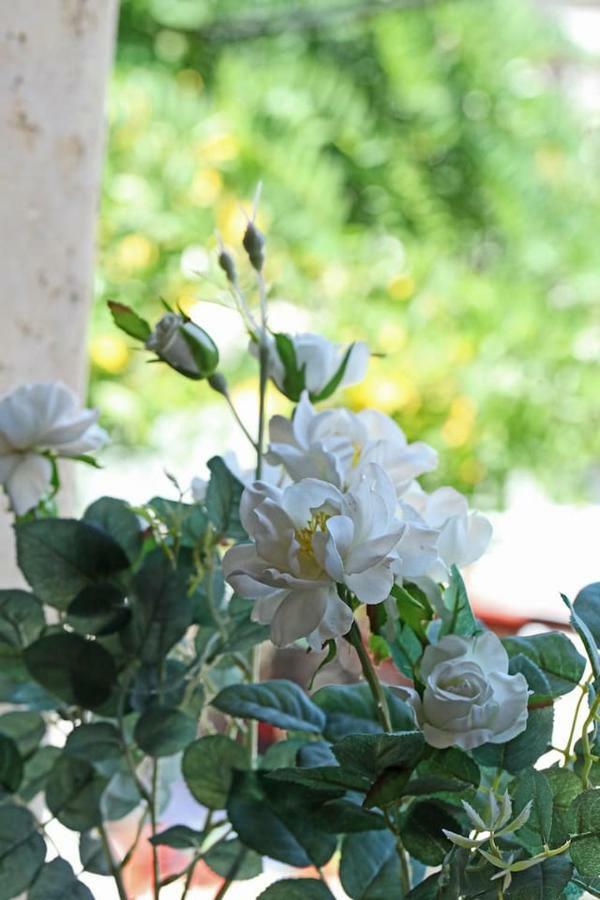 Beautiful Studio In Traditional Afytos Halkidiki-Uvc Sterilized المظهر الخارجي الصورة